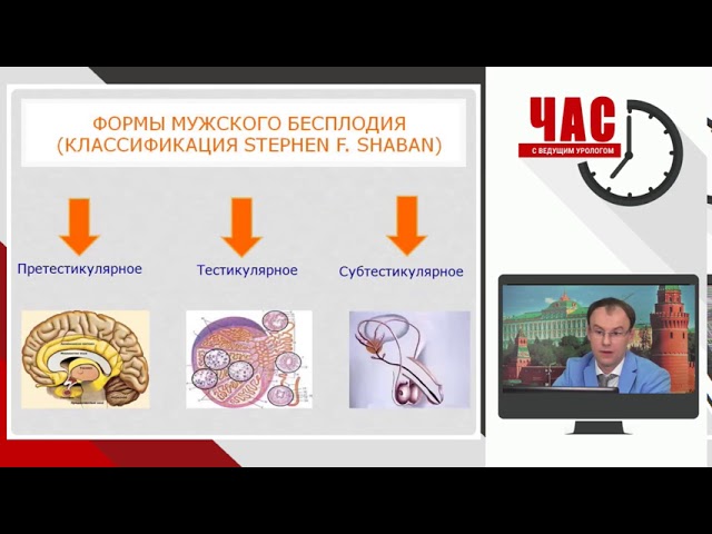 Коршунов М Н - Азооспермия. Диагностические и лечебные алгоритмы