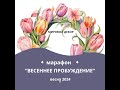 МК &quot;Весенние цветы&quot;. Декупаж.Наталья Евсеева &quot;Декупаж _декор_творчество&quot;