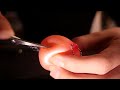 ASMR ぷに桃を捌いていくッ