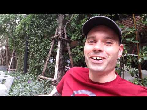 TEFL Heaven teacher story