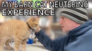 5 Things I Learned Neutering Our Barn Cats by Hidden Spring Farm 2 months ago 16 minutes 532 views