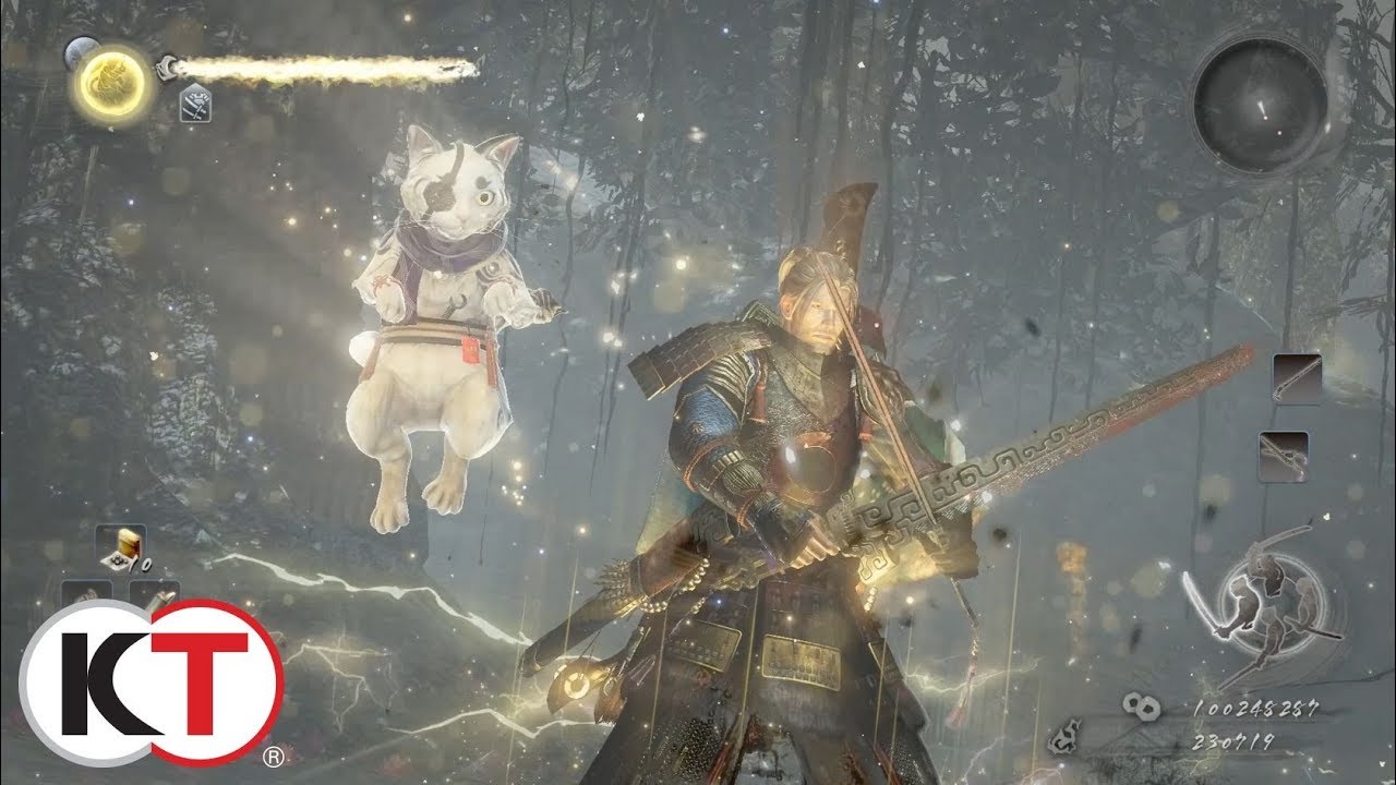 dark souls wiki Nioh: Complete Edition - Dual Swords Highlight
