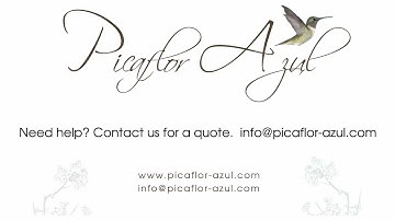 Easy Help Zen Cart Tutorial: How to list a Product in More Than One Category