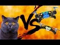 Cats vs. Flying Drones!