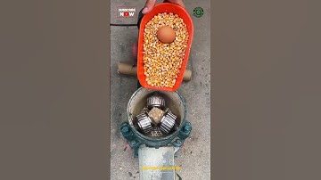 Pellet Feed Making Machine