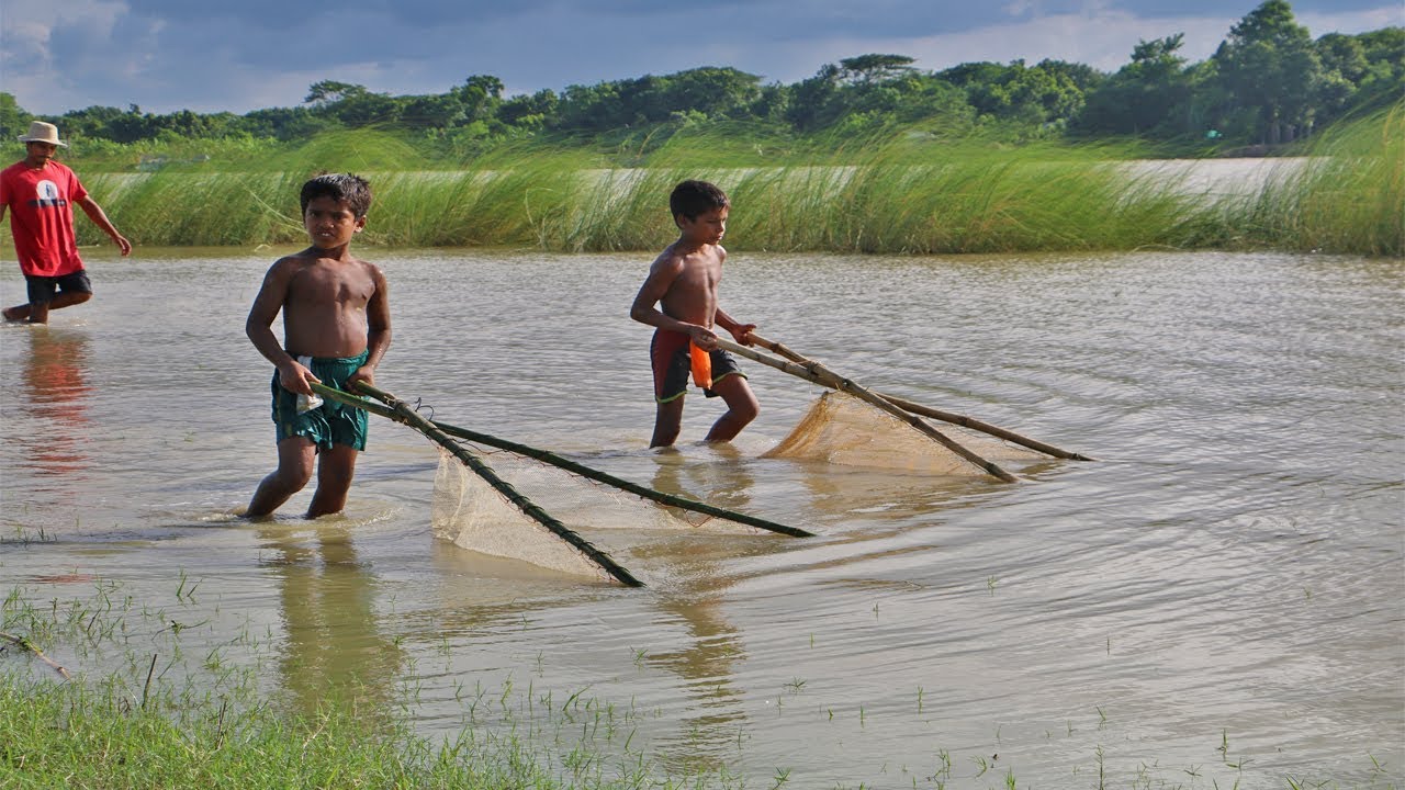 Asian Old Traditional Fishing Video | Catching Fish with Net | Very