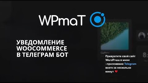 WPmat WordPress Mini Apps Telegram. Video tutorial #7. Notification woocommerce in TELEGRAM BOT