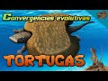 Convergencias evolutivas: TORTUGAS (+ cachetes en dicinodontos)