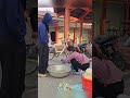 Poor Single Mother Catches Massive Fish With Bare Hands and sell in market