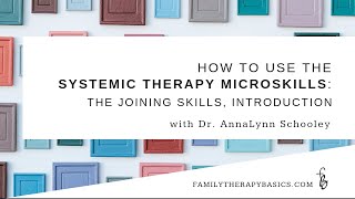 How To Use The Systemic Therapy Microskills: An Introduction To the Joining Skills