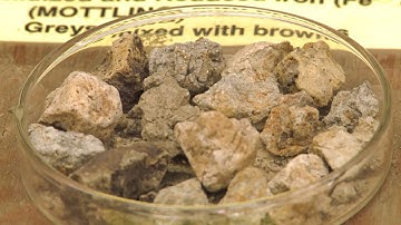 Soil Basics: Color Clues