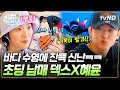 [#언니네산지직송in칼라페] 보홀 바다거북이 발견🐢 손 뻗으면 닿을 거리에 나타난 거북이에 신난 덱스 X 혜윤🌊