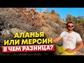 Аланья или Мерсин / Где можно купить недвижимость в Турции?