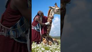 Kenyan Giraffes | Magical East African Moments