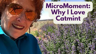 MicroMoment: Why I Love Catmint