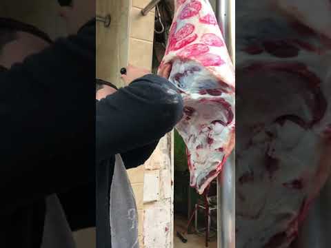 اسرع تشفيه فخده