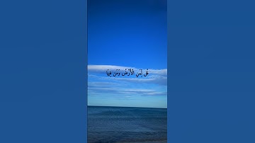 قل  لمن الأرض ومن فيها#سورة_المؤمنون #ياسر_الدوسري #quran #islamic #فلسطين #beach #naturephotography