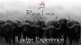 Realora | Safari Lodge Experience