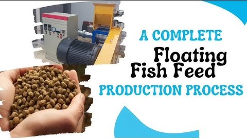 HOW TO MAKE FLOATING FISH FEED I make more profit doing this