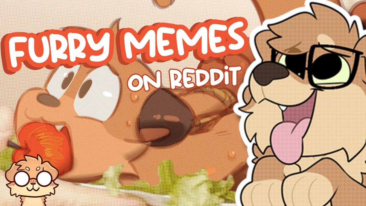 Reddit FURRY memes that will stuff your turkey