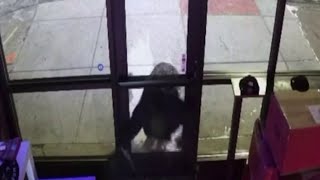 Thieves keep targeting Eastern Market in Detroit