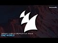 Swanky Tunes & Dropgun feat Raign - One World (Extended Mix)