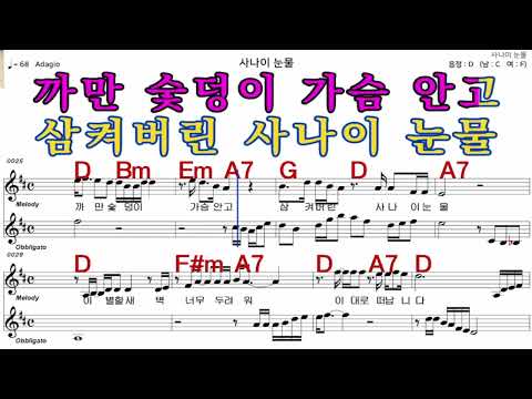 사나이눈물  조항조   가수처럼 엠알로  악보  노래 하기  남 원키  D