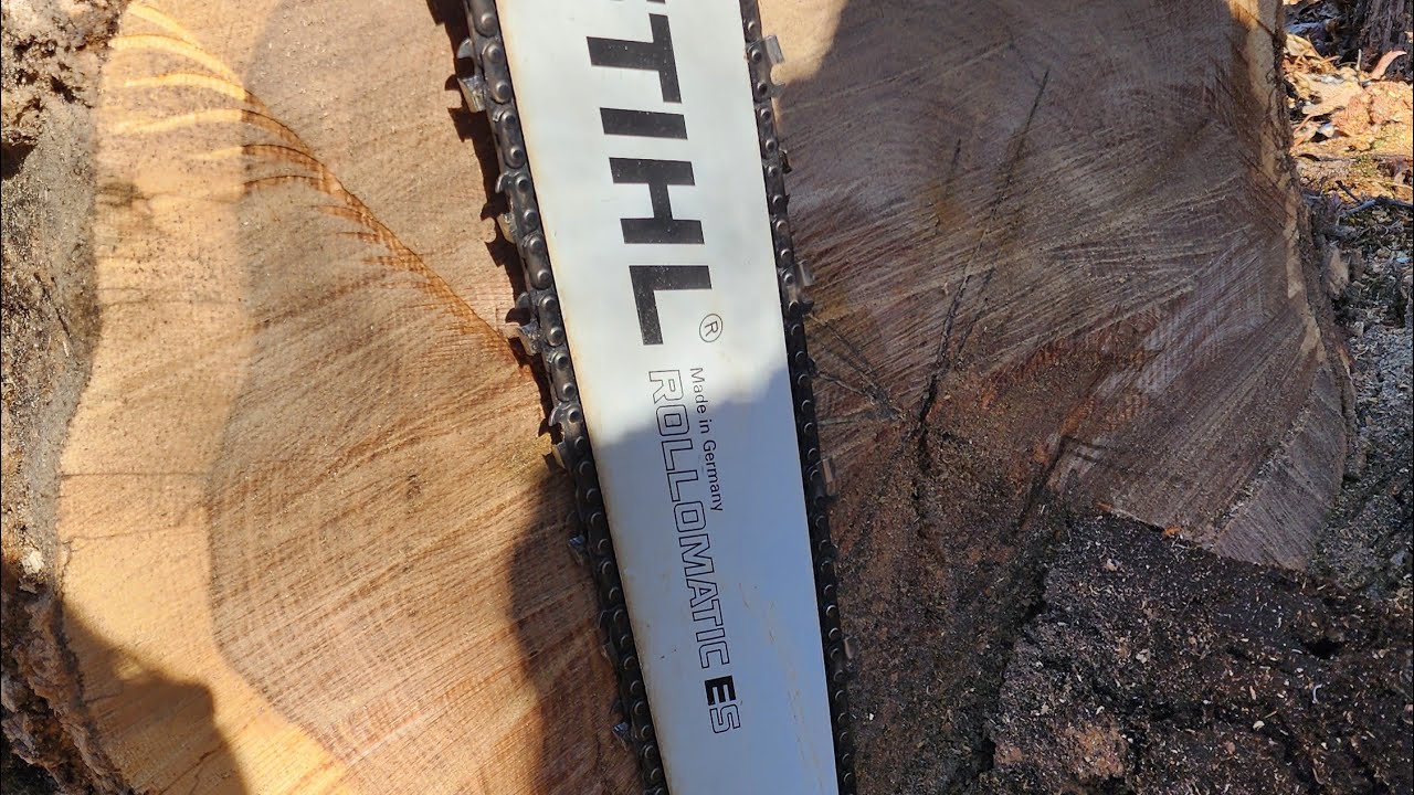 The Lawn Company - White Oak Tree Felling - YouTube