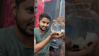#beta #betafish #fighterfish #trending #shorts #viral #viralshorts #shortsfeed #aquarium #fishbowl