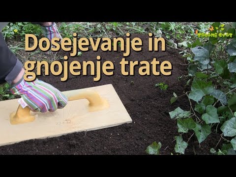 Video: Kalimagnesia: Sestava Gnojila Kalimag, Uporaba Za Vrtnice, Paradižnik, Grozdje In Druge Rastline, Navodila Za Uporabo