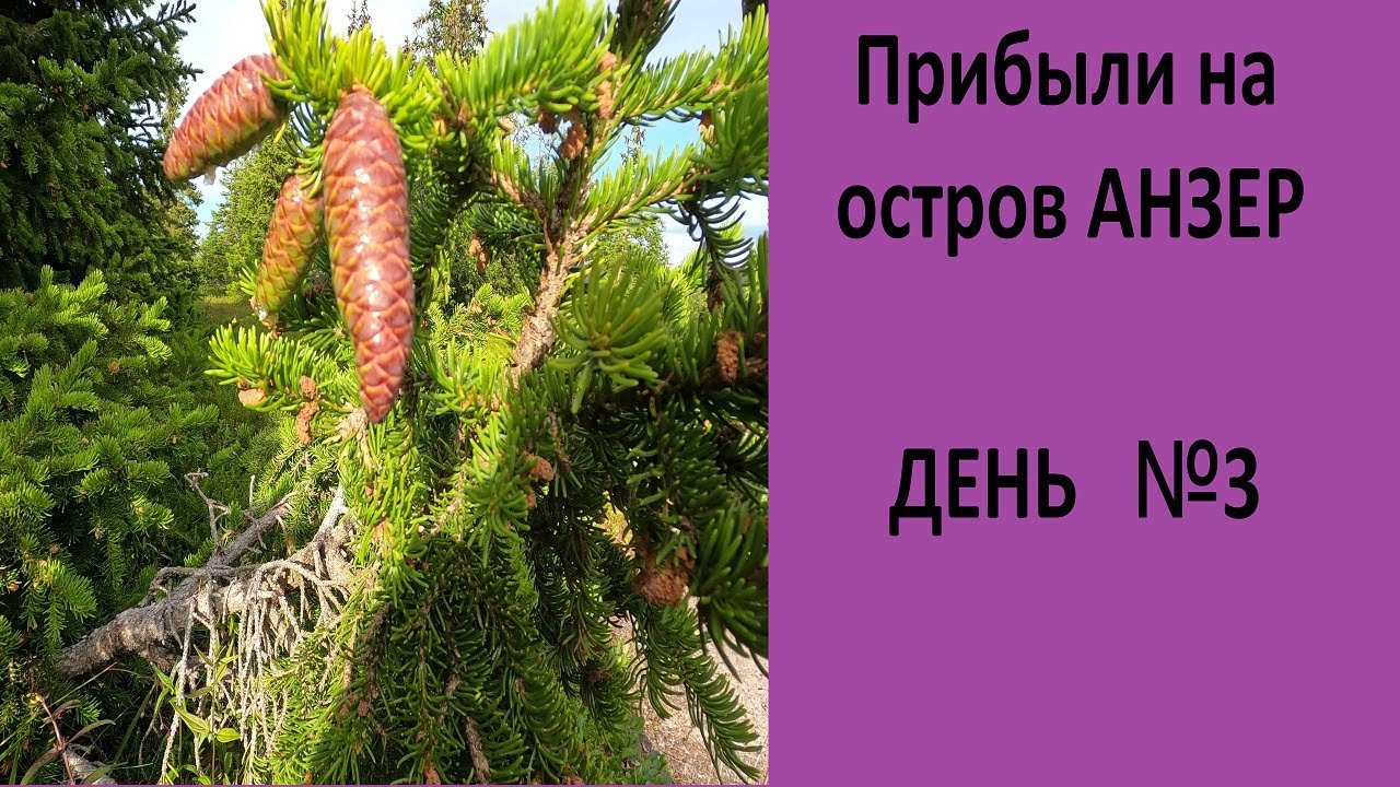 Путешествие на пароходе по белому морю. Прибыли на остров Анзер. Там ...