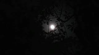 Alan Walker  Darkside  Super Slowed And Reverb 