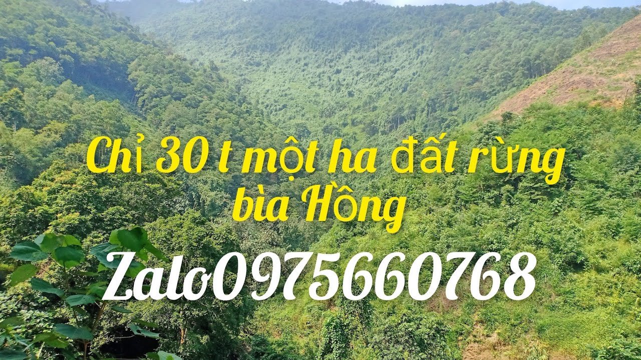 đất rừng sản xuất 30t ha #batdongsan #datnghiduong #datrungsanxuat #dattrangtrai #datgiare