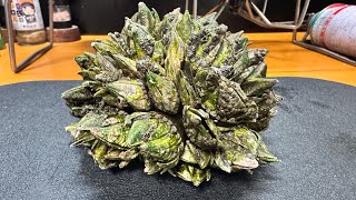 ラヴォスの酒蒸しを引きちぎりながらブラックミストアイランドをキメるだけの動画