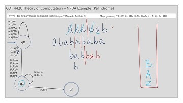 Module 8 (Video 3) NPDA