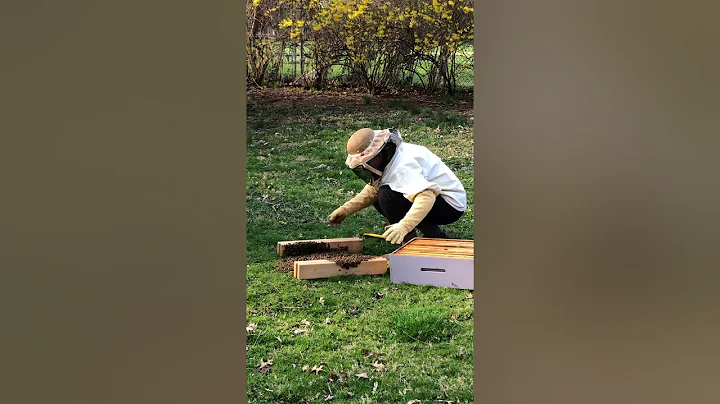 Collecting the swarm