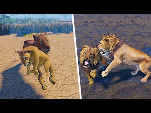 Lone Lion Cub Grows Up To Alpha Lion! | ROBLOX Eternal Enemies