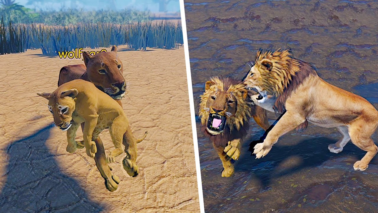 Одинокий львенок вырос и стал альфа-самцом! | ROBLOX Вечные враги