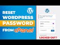 How to Reset WordPress Admin Password Using CPanel - (PhpMyAdmin Easy Method) [2024]