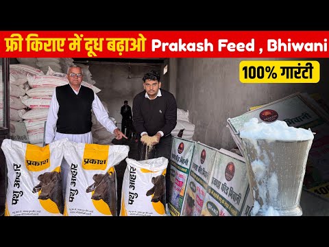 Dudh badhane wali feed | Best feed for buffalo to increase milk | Prakash Feed , Bhiwani