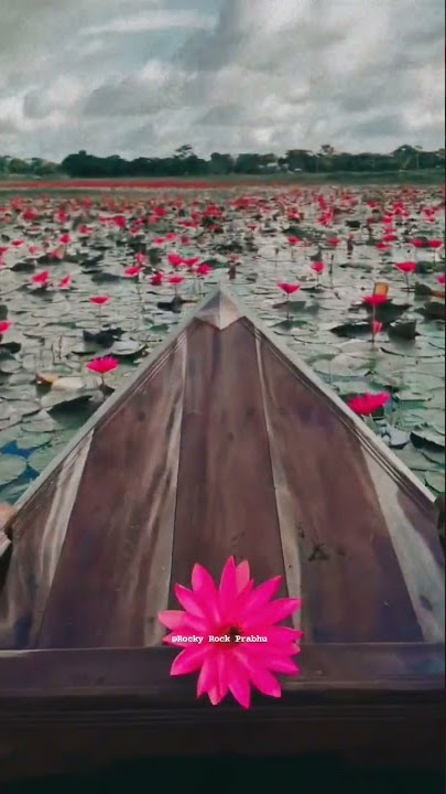 oru paarvaiyil poo koduthai yuvan music status