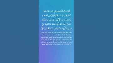 سورة البقرة من الآيه 73 الى الآيه 74 بصوت الشيخ مشاري العفاسي