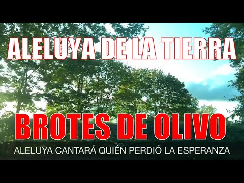 ❤️ ALELUYA de la TIERRA | Cover Brotes de Olivo | Letra y acordes