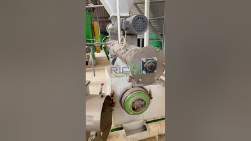 1-2 Ton per hour automatic chicken animal feed pellet making plant for sale Belgium