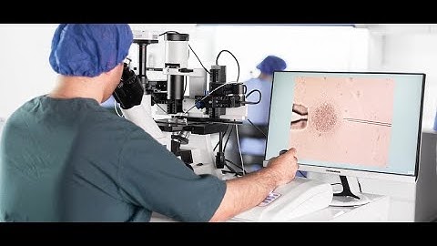 micromanipulator - Микроманипуляторы