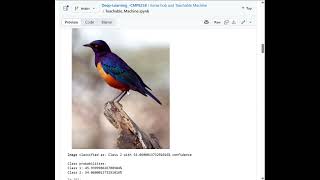 Teachable Machine Demo (Implementation in google colab)