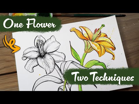 Lily Flower Drawing Stock Photo 606811286 | Shutterstock | Flower drawing, Lilies  drawing, Flower sketches