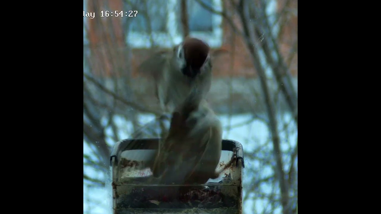 Бьет по мозгам  