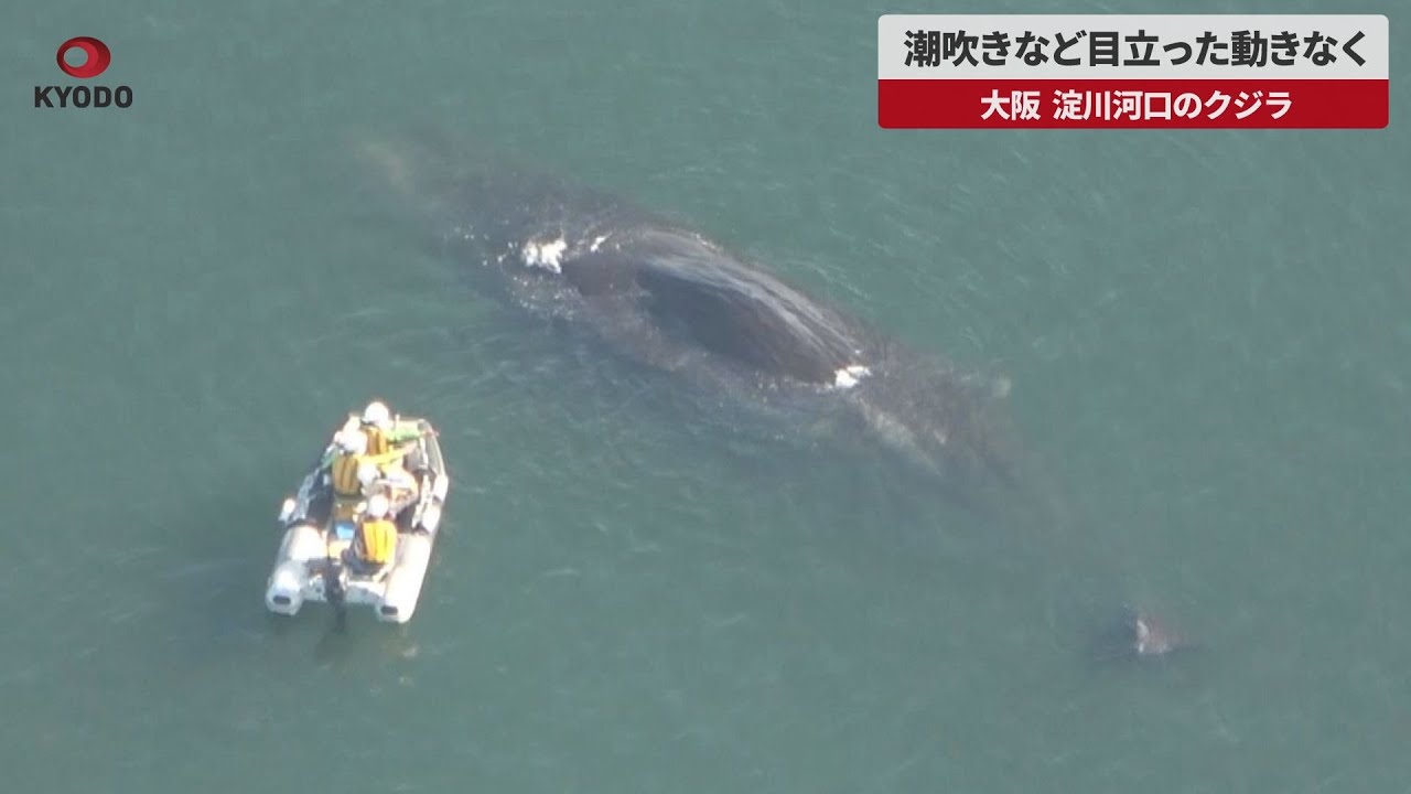 大阪 潮吹き