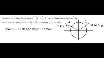 Trong không gian với hệ tọa độ Oxyz, cho vector a = (1;-2;4), b = (x0,y0,z0) cùng phương với vecto a